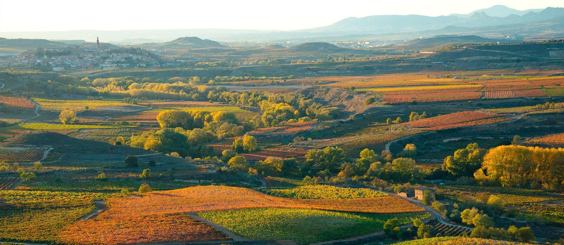 A toast-worthy Basque experience