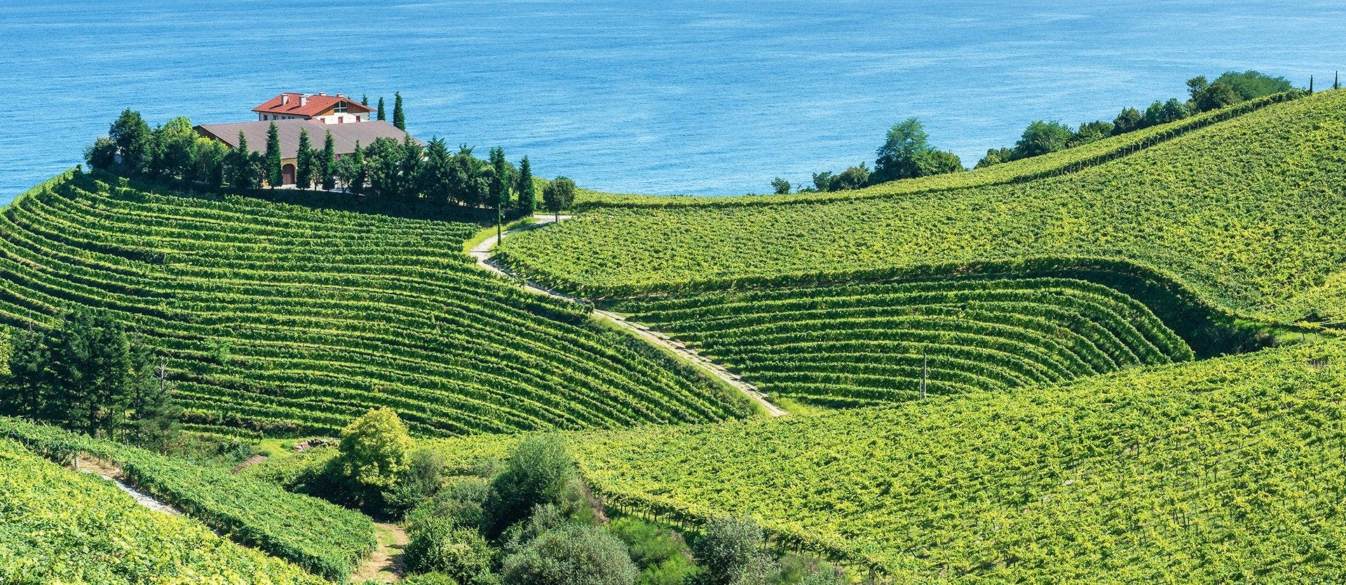 A toast-worthy Basque experience