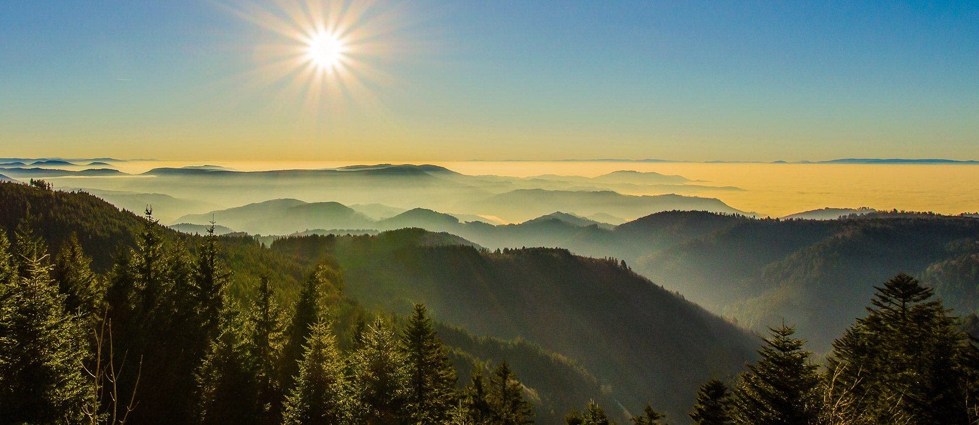 The Black Forest, Alsace & Champagne