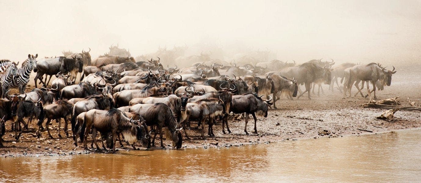 Luxury African Adventures