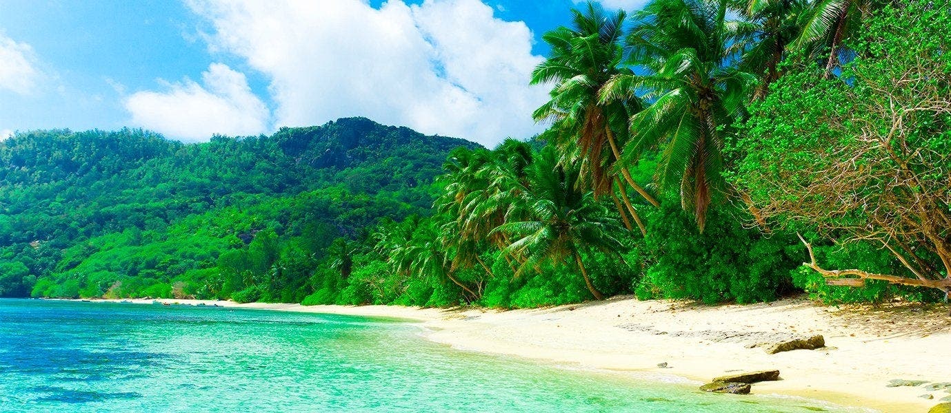 The Jewel of Nature 