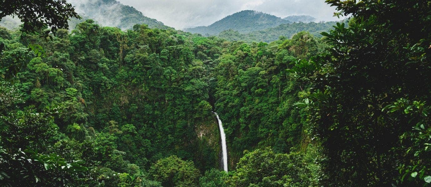 The Jewel of Nature 