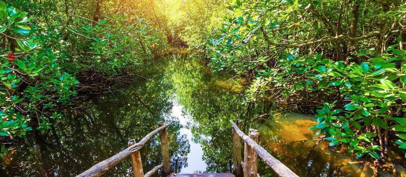 Luxury Safari & All-Inclusive Zanzibar