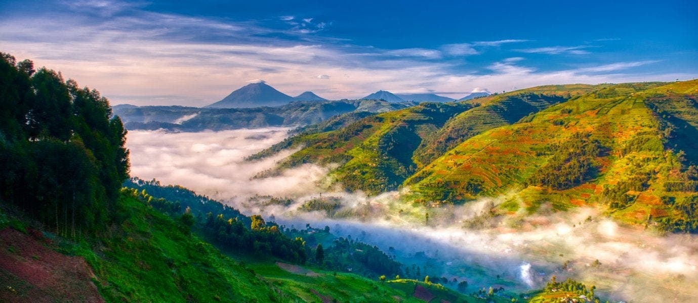 Land of the Primates