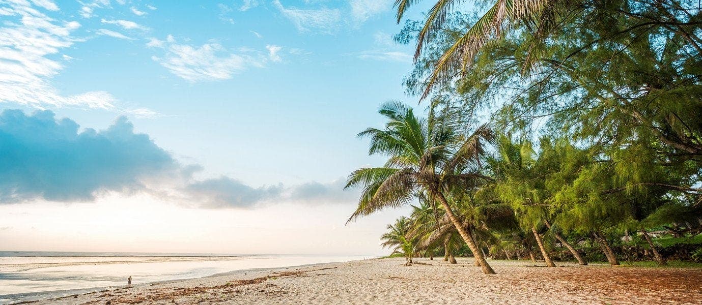 Wild Savannah & Beach