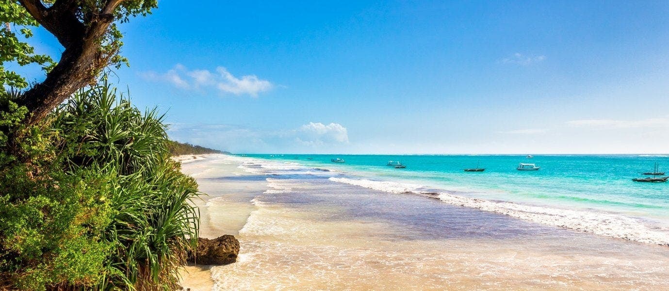 Wild Savannah & Beach