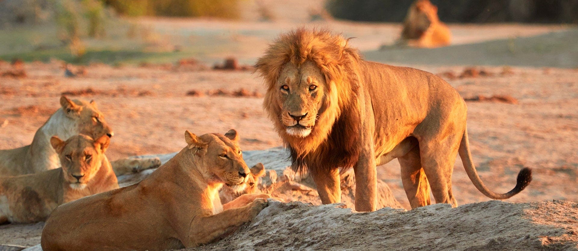 Waterfalls, Safaris & Sand Dunes