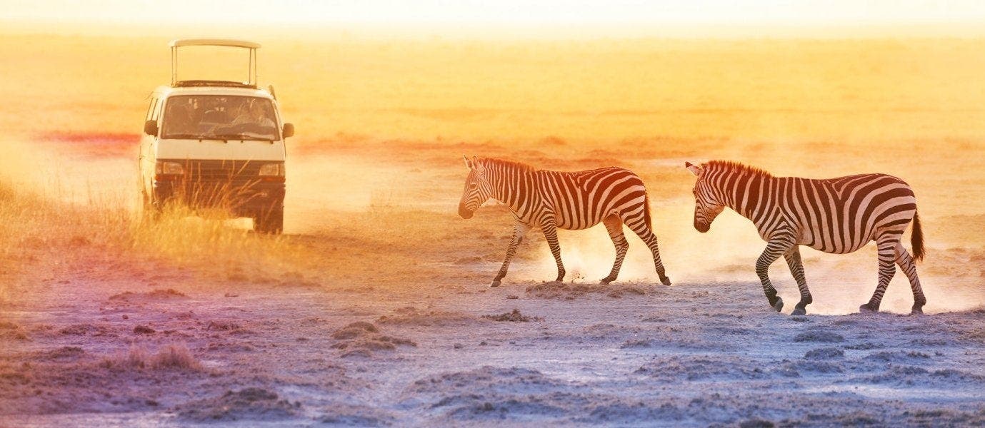 Wild Savannah & Victoria Falls