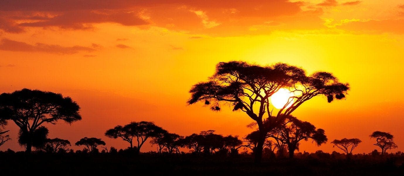 Wild Savannah & Victoria Falls
