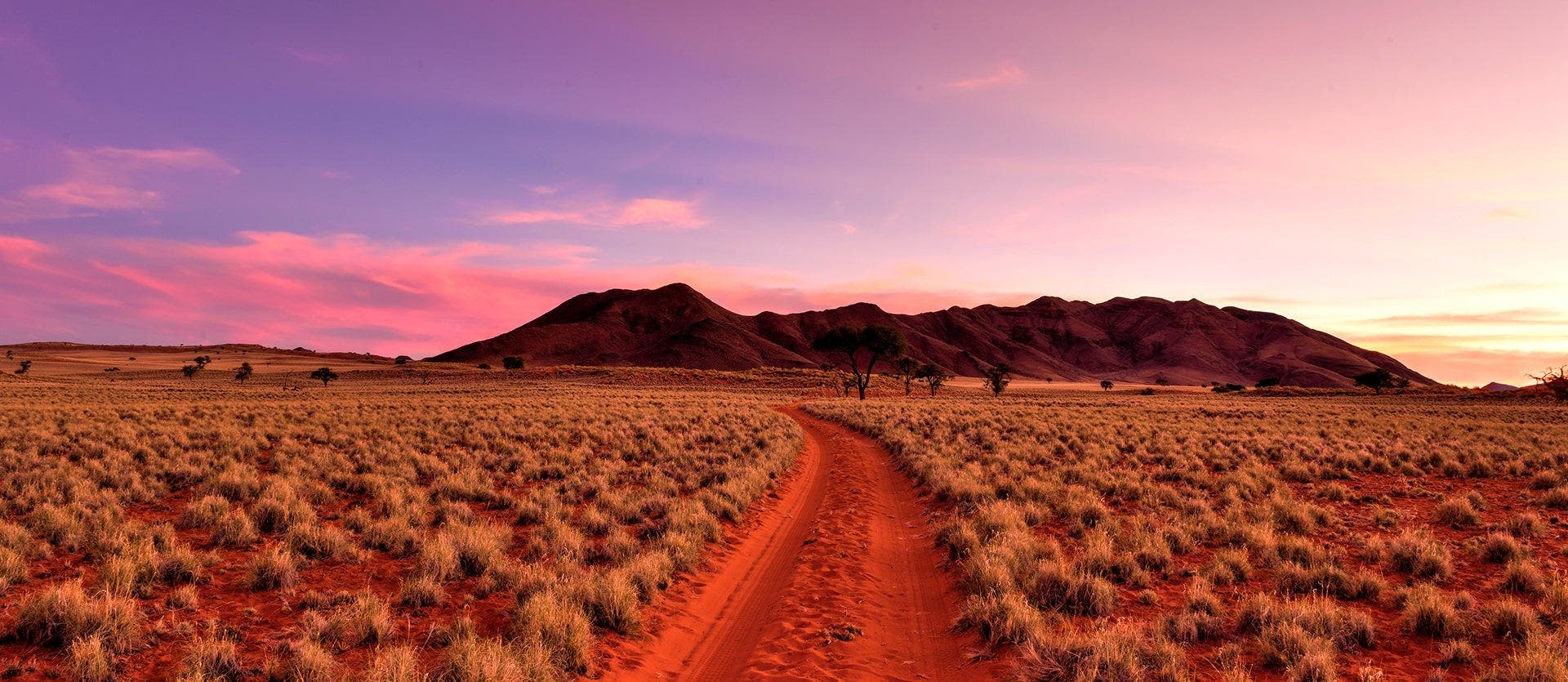Safari, Sand Dunes & Victoria Falls