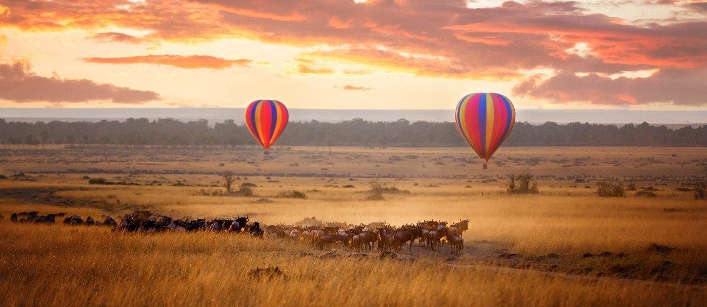 Maasai Mara, Great Pyramids & Nile Cruise