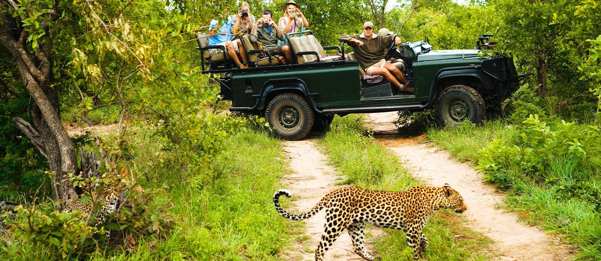 Kruger's Wildlife & Mozambique’s Beaches