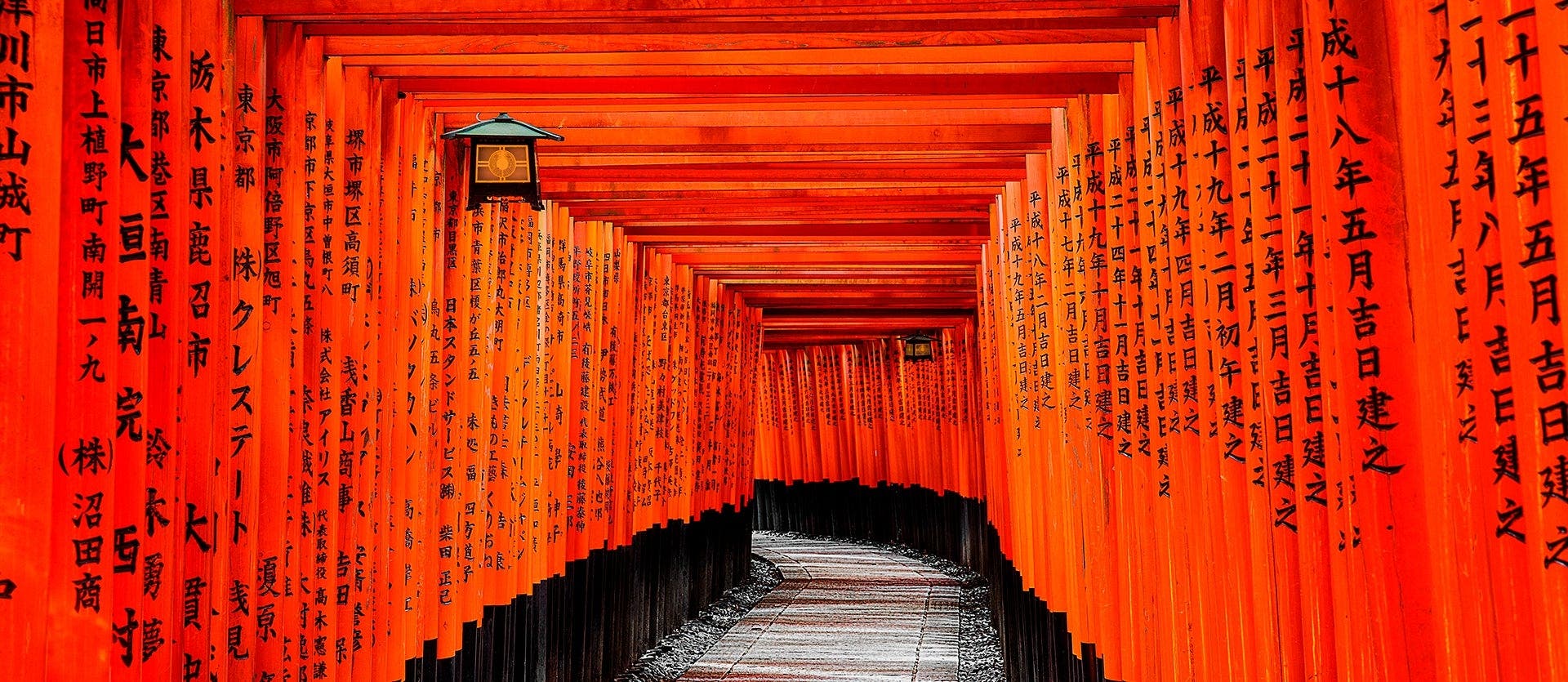 A Voyage through Asian Lands