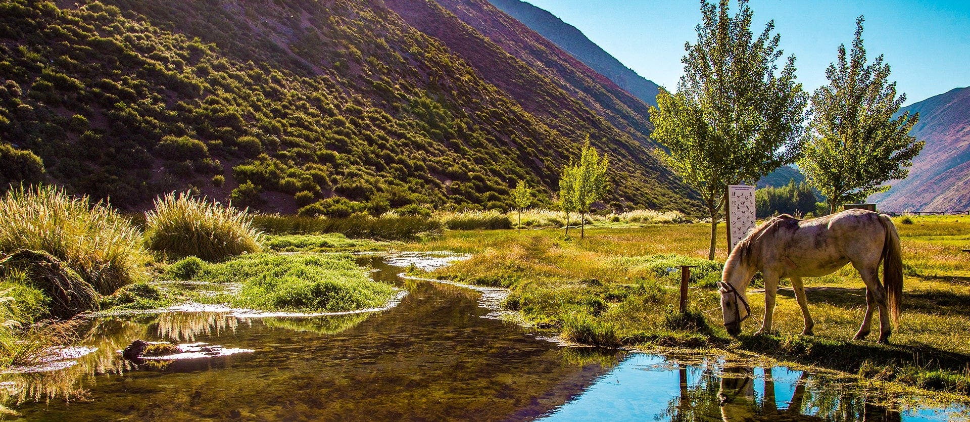 Andean landscapes, cities, and vineyards