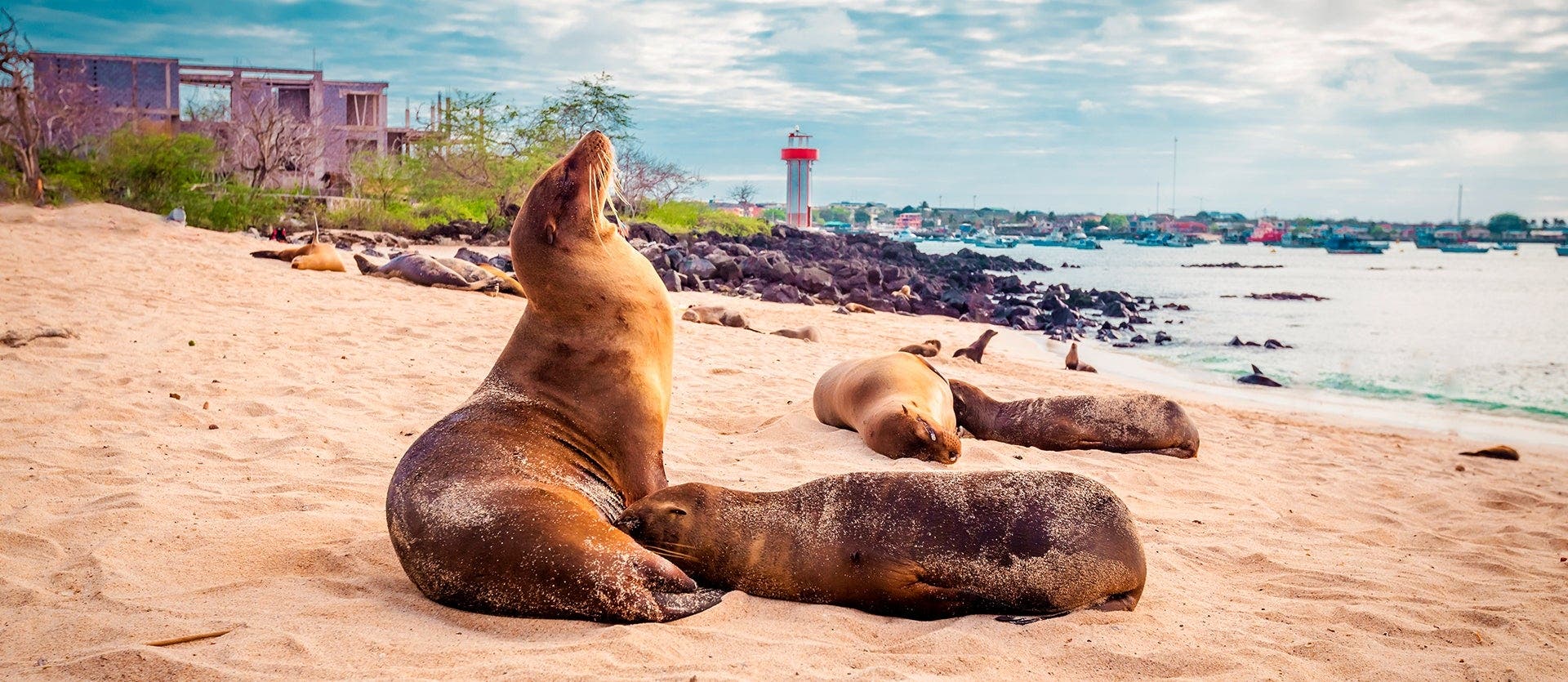 Amazon & Island Hopping in Galapagos