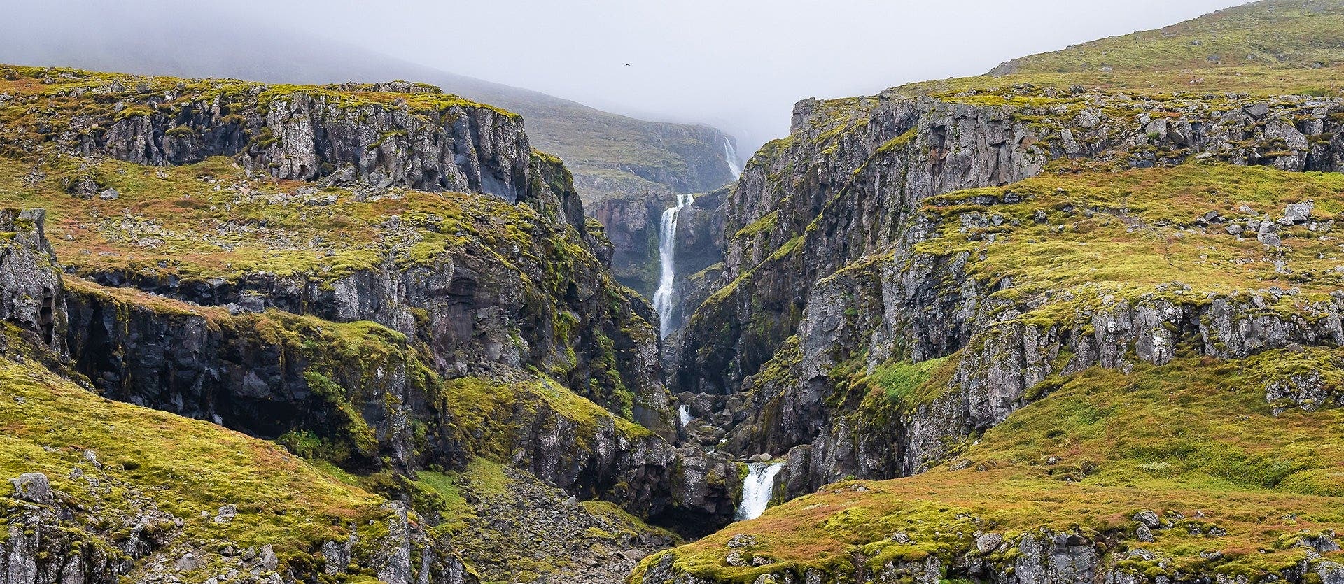 Landscapes of Nordic Summer
