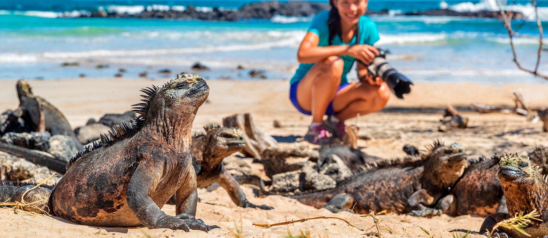Family: Galapagos, Quito & cloud forest