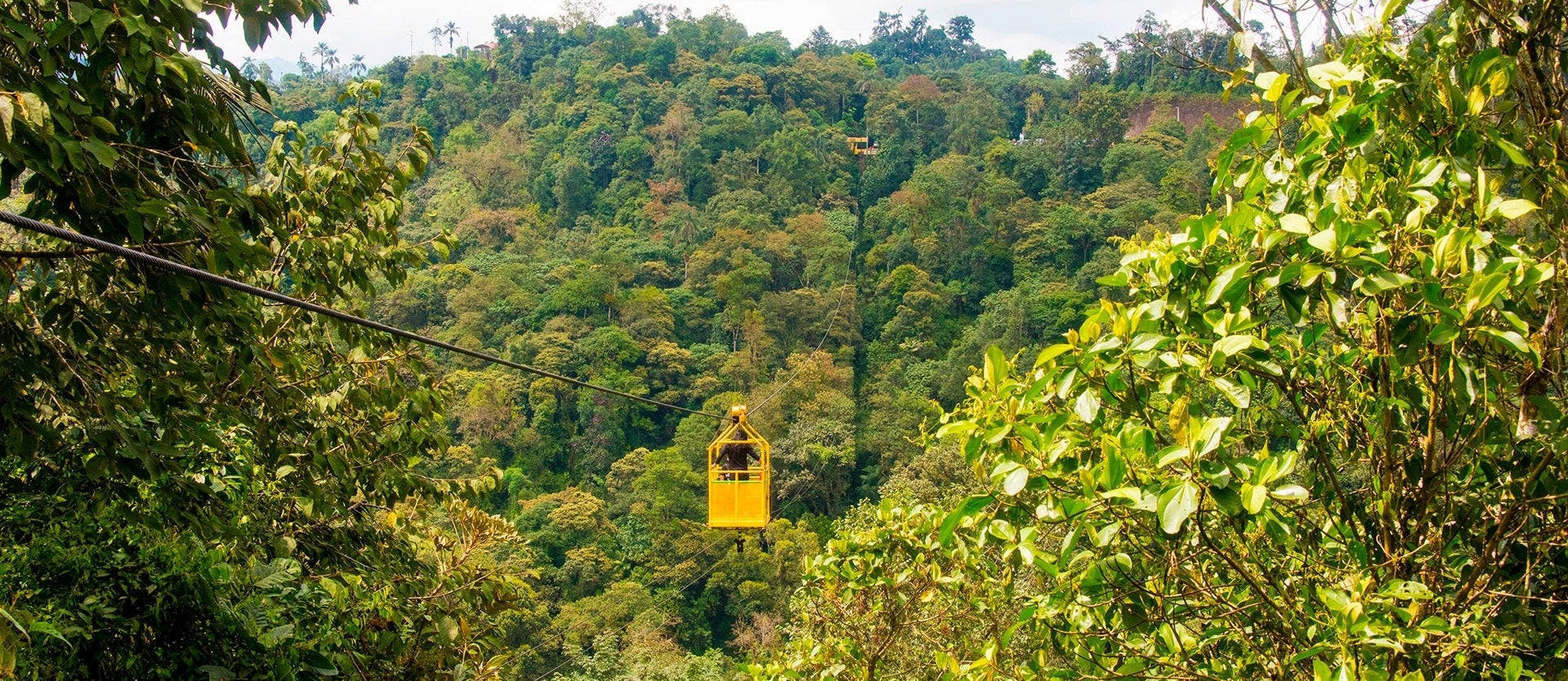 Family: Galapagos, Quito & cloud forest