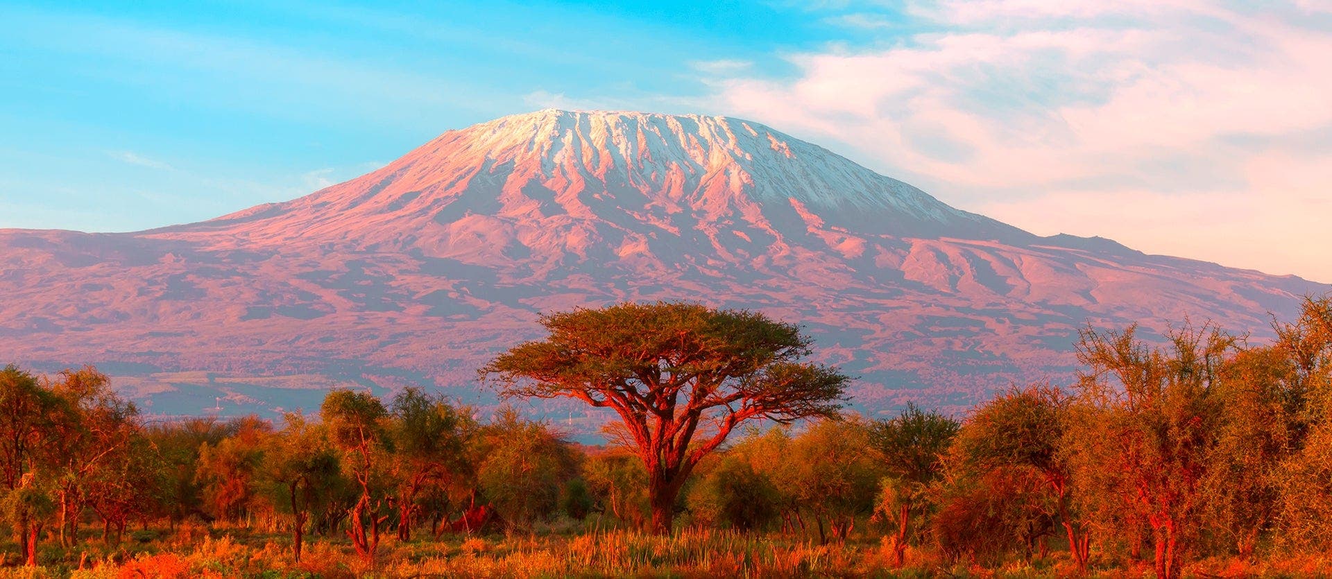 Savannahs, safaris & Maasai Mara