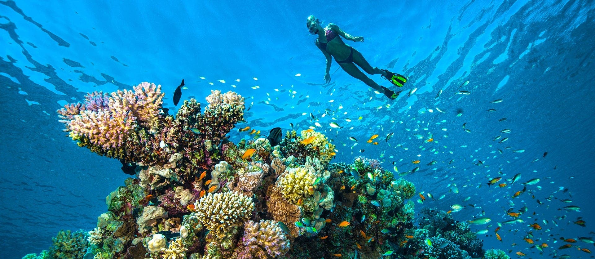 Family: Red Sea Relax, Temples & Desert 