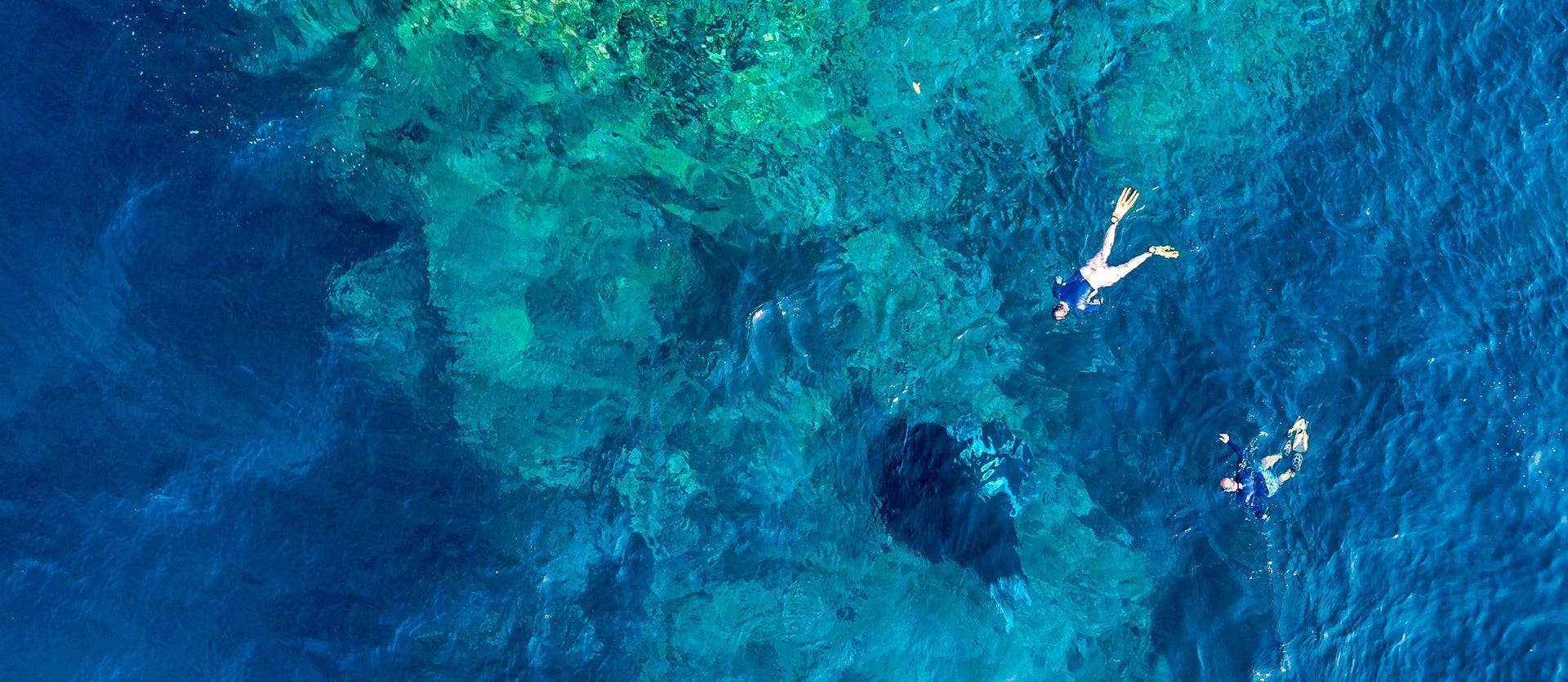 Bali, relax & Komodo dragons 