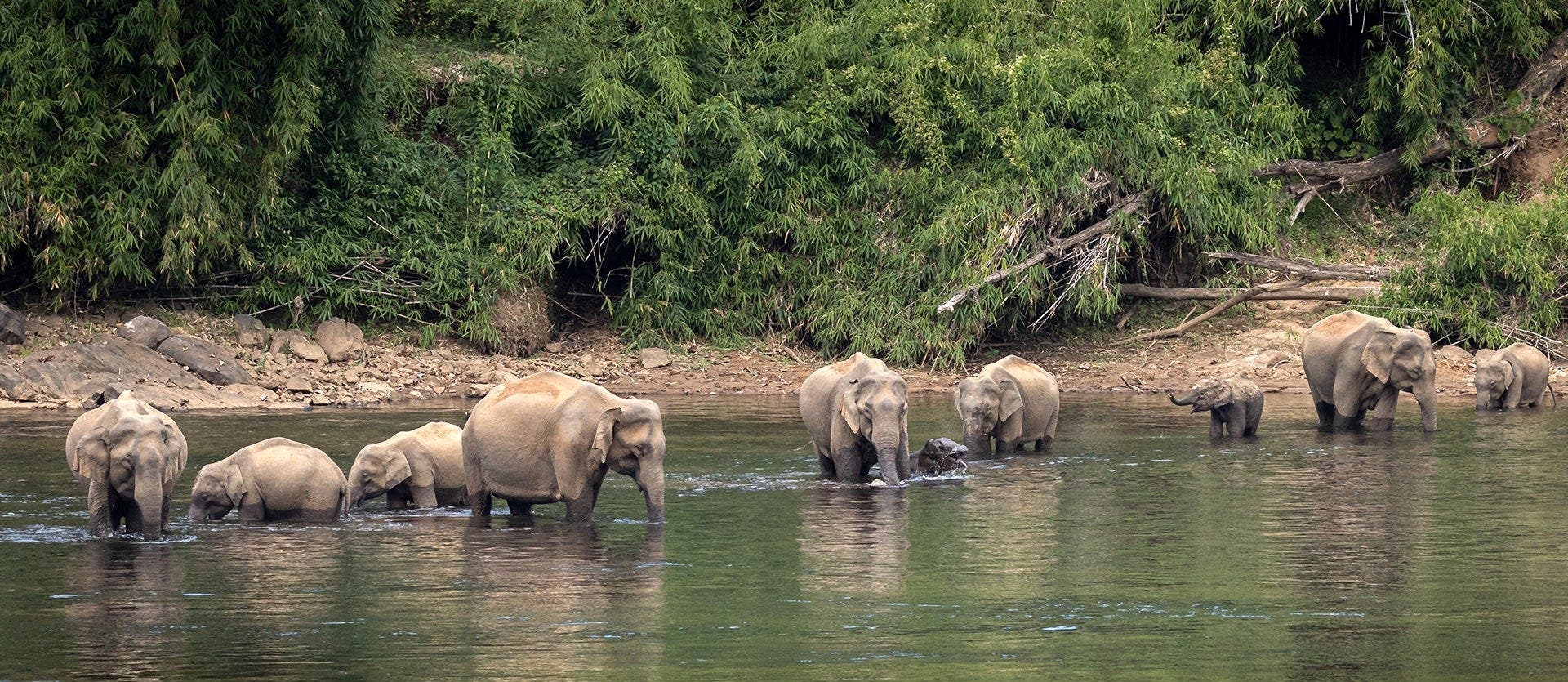 India's treasures: From Delhi to Kerala