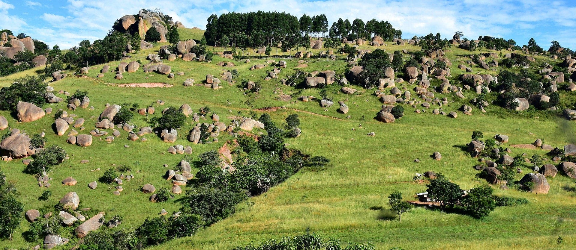 Kruger Safari & Zulu Heritage