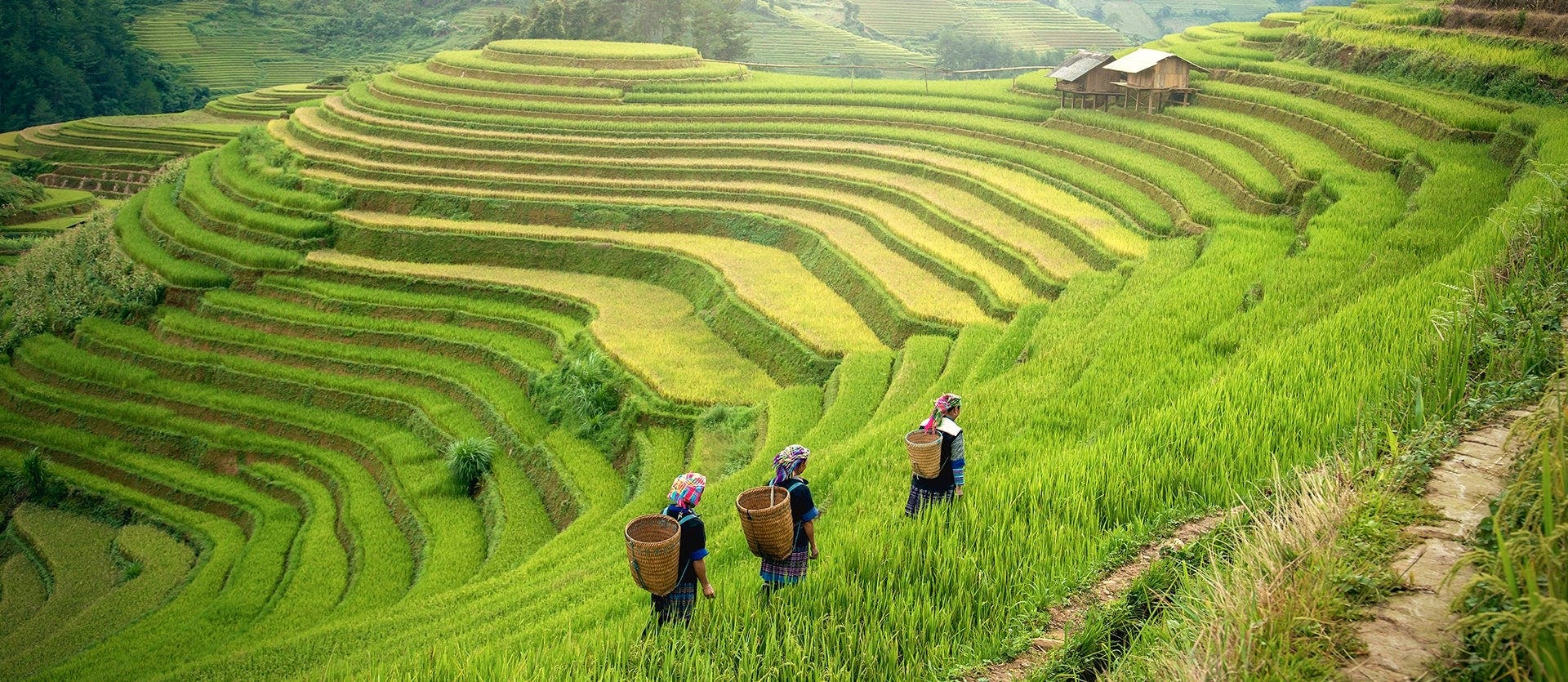 Vietnam 360: Cities, Sapa & Island Escape