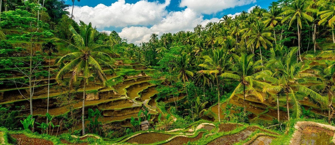 Adventures in Java & Bali Paradise