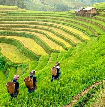 Natural Wonders & Stunning Sapa