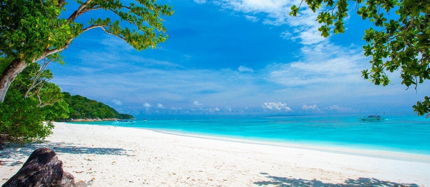 Tropical Rainforests & Beach Escape