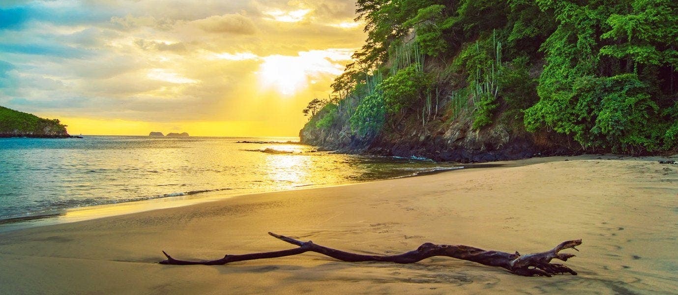 Tropical Rainforests & Beach Escape
