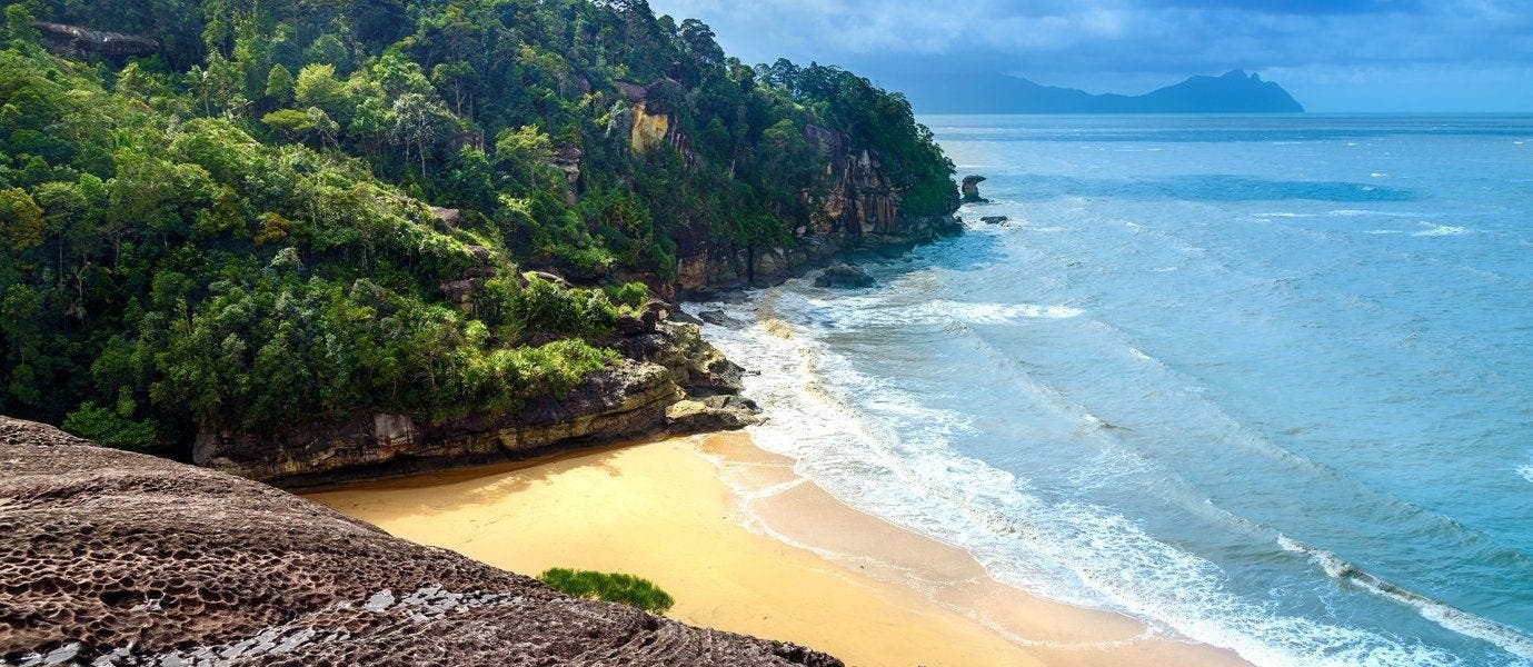 Between Rainforests & Orangutans