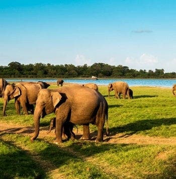 Temples, Treasures & Spiritual Retreats