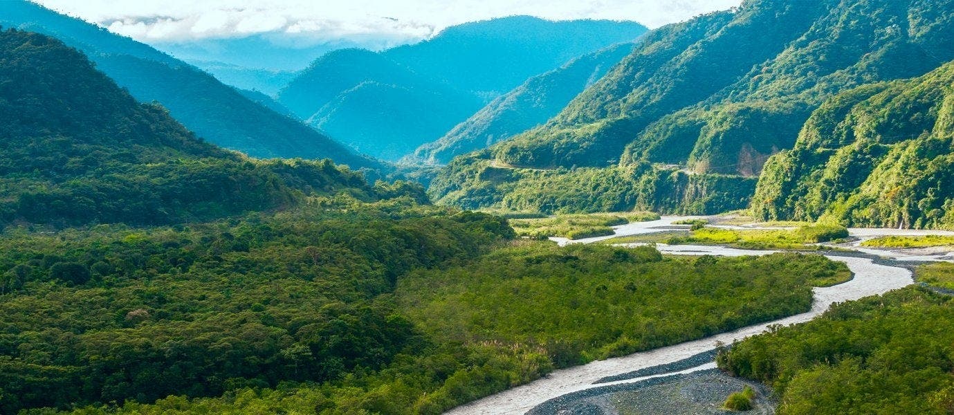 Rainforest, Galapagos and Guayaquil