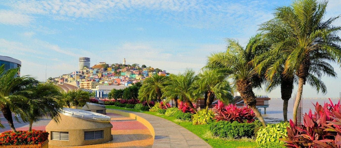 Rainforest, Galapagos and Guayaquil
