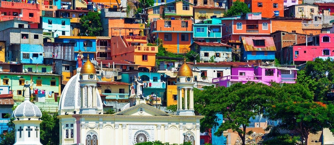 Rainforest, Galapagos and Guayaquil