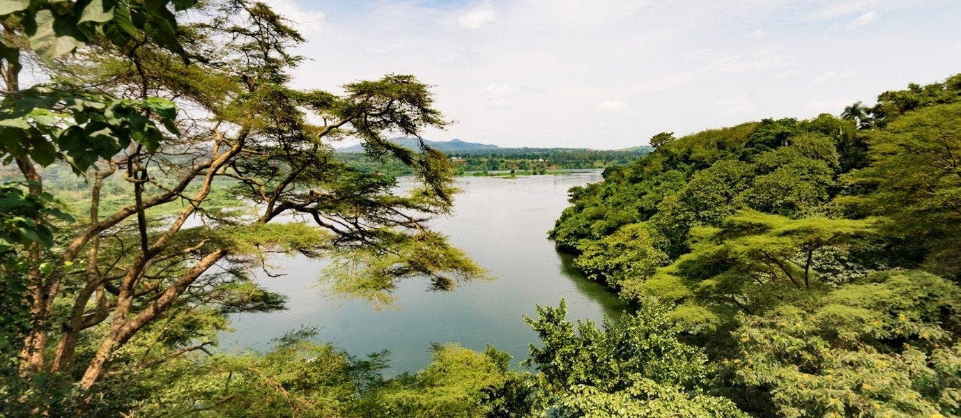 Uganda's Treasures: Land of Primates