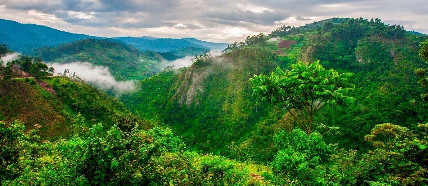 Uganda's Treasures: Land of Primates