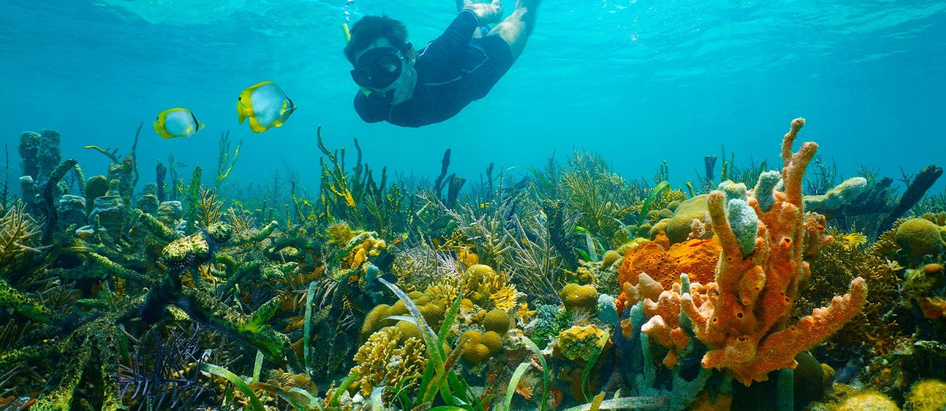 Arenal, Puerto Viejo & Bocas del Toro