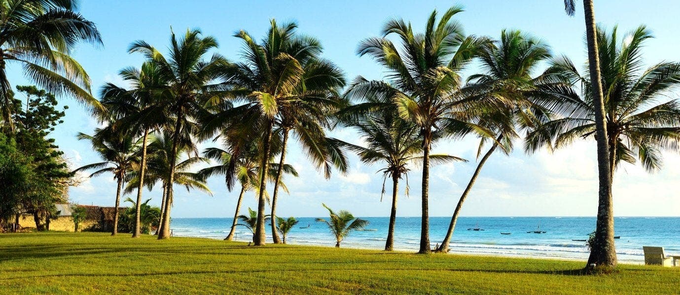 Wild Savannah & Beach
