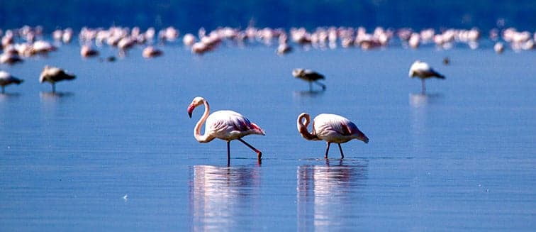 What to see in Greece Kerkini