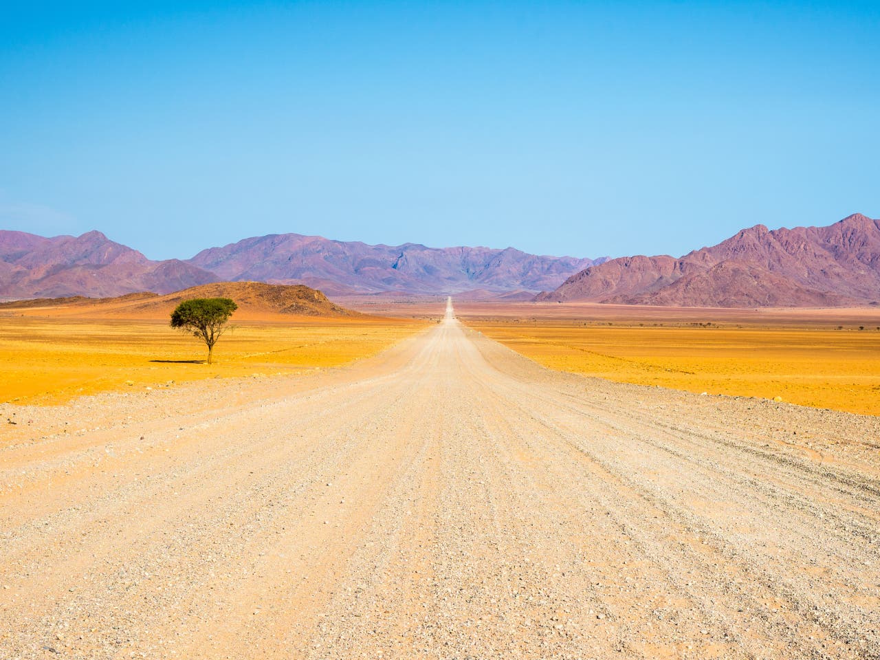Namib Naukluft. Experience towering dunes and diverse wildlife adventures.