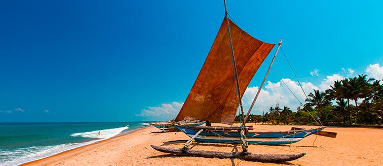 Qué ver en Sri Lanka Negombo