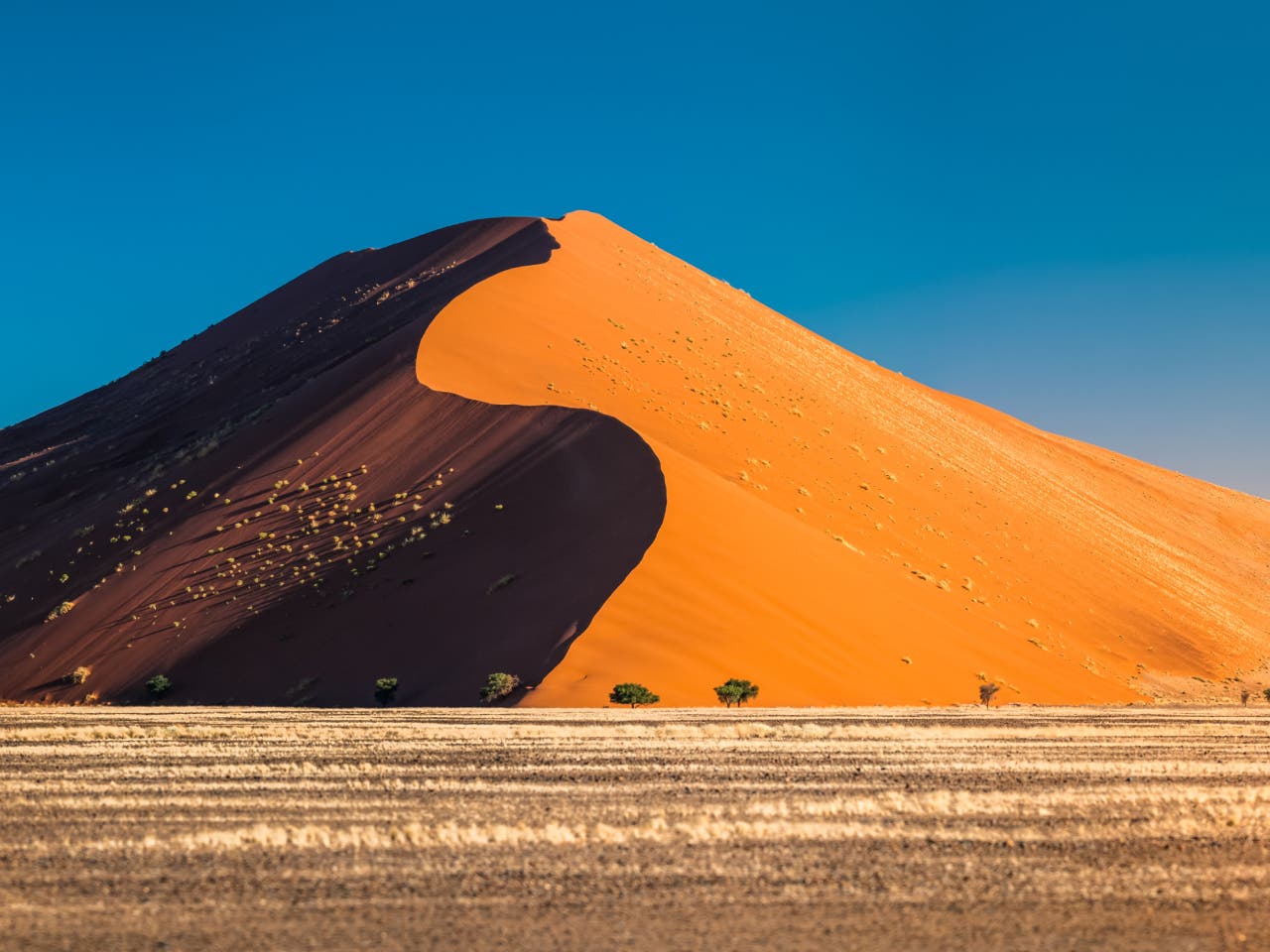Sossusvlei. Experience towering red dunes and stunning desert landscapes.
