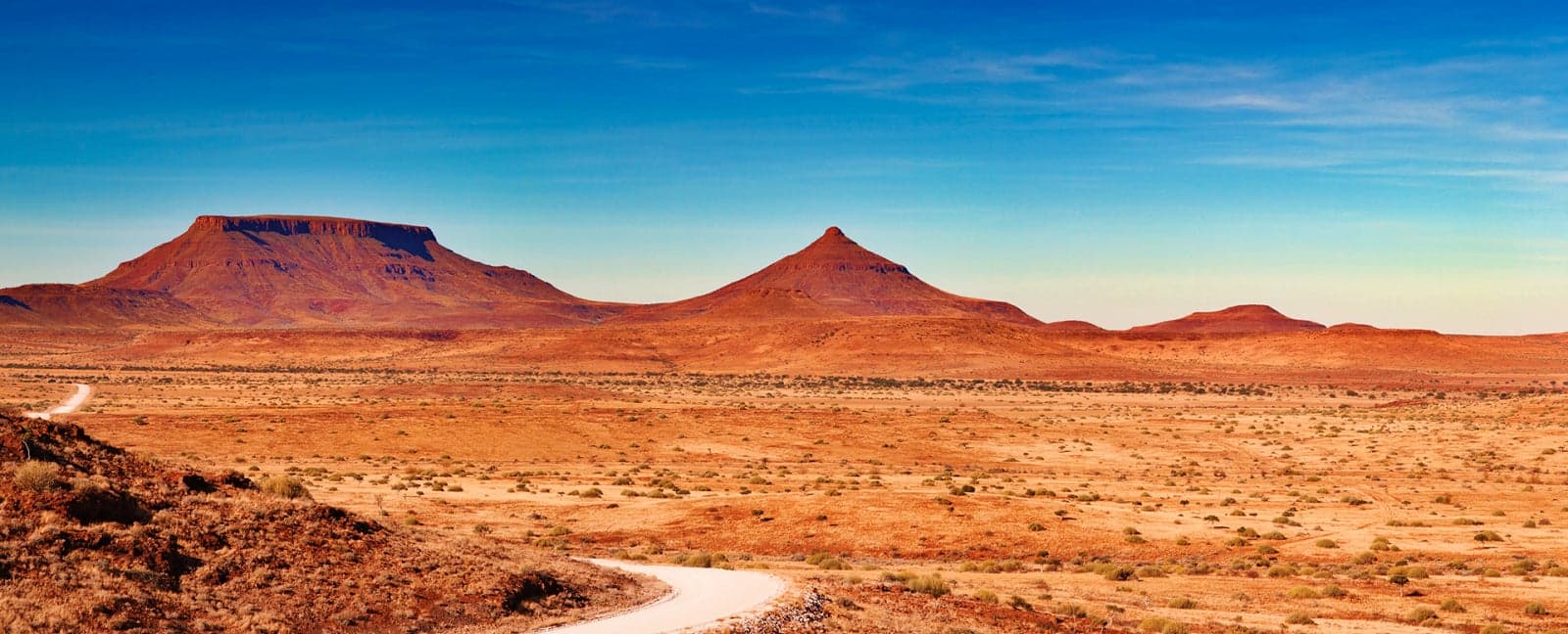 Etosha National Park - Damaraland