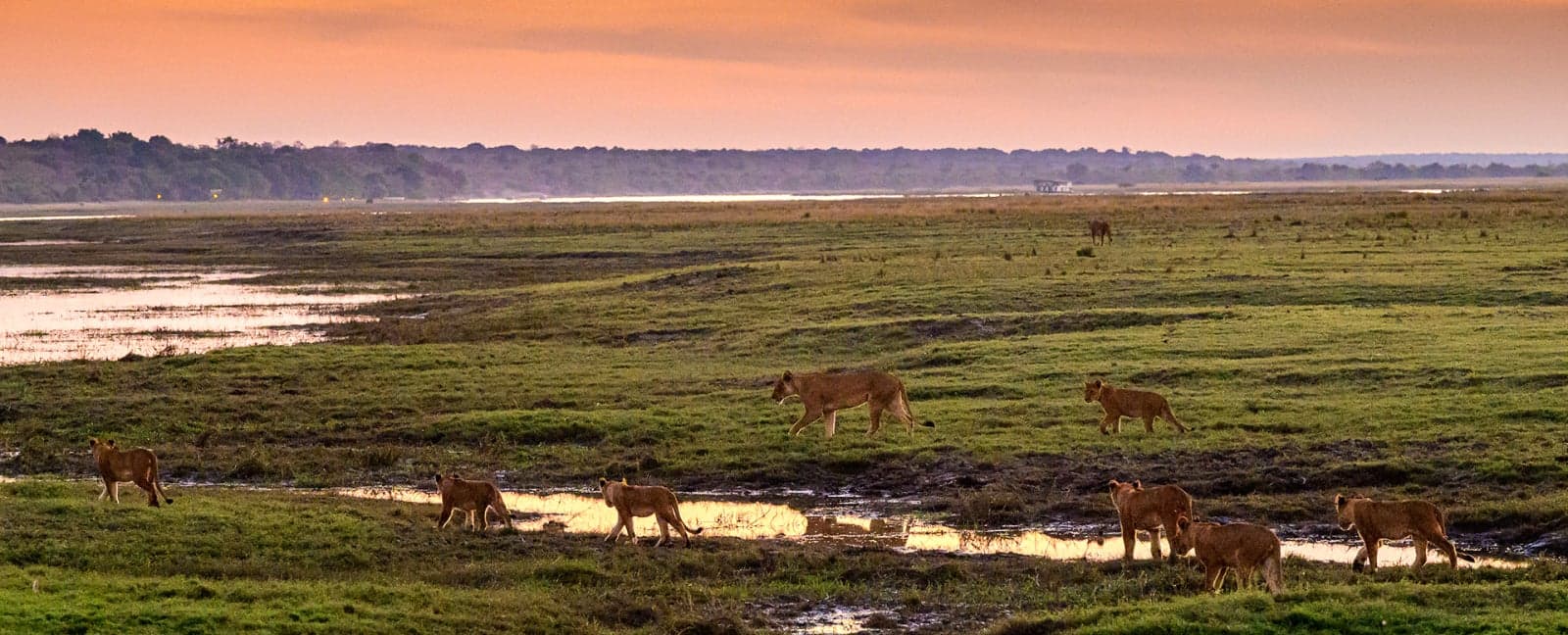 Victoria Falls - Chobe National Park