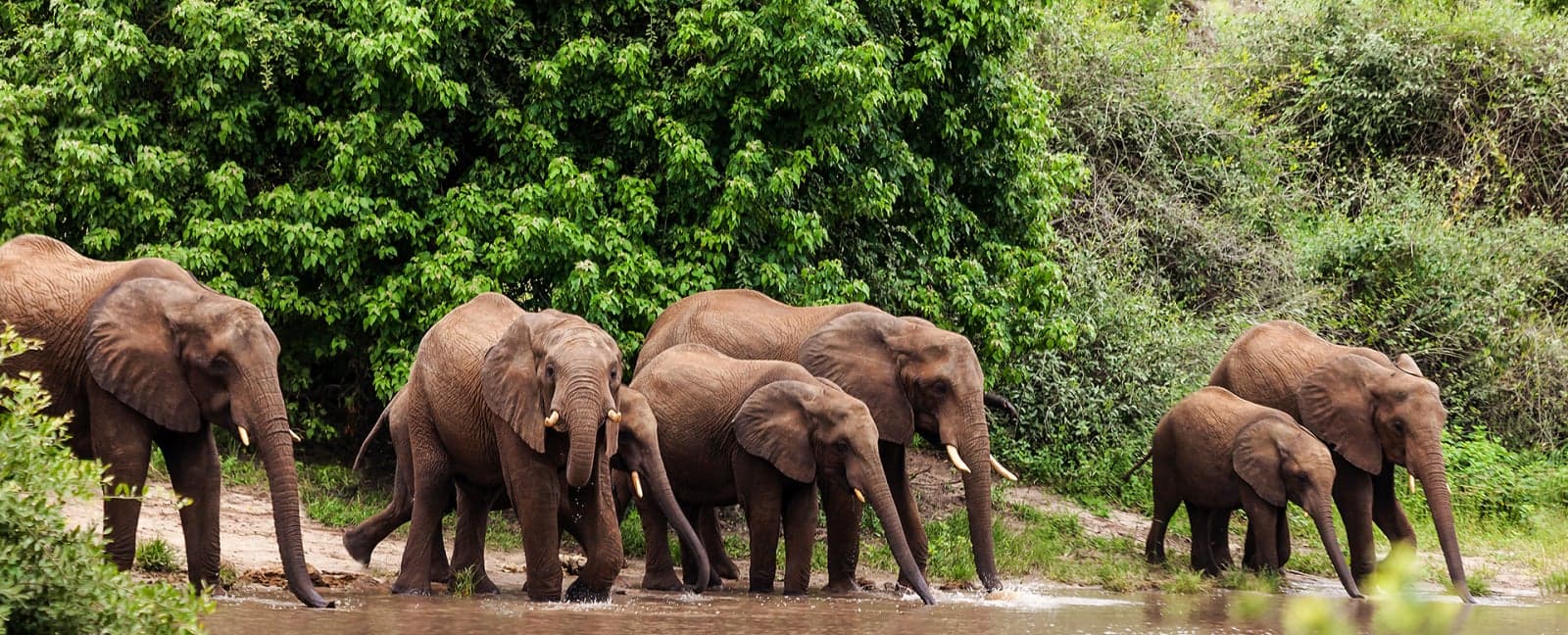 Chobe National Park - Victoria Falls - Johannesburg
