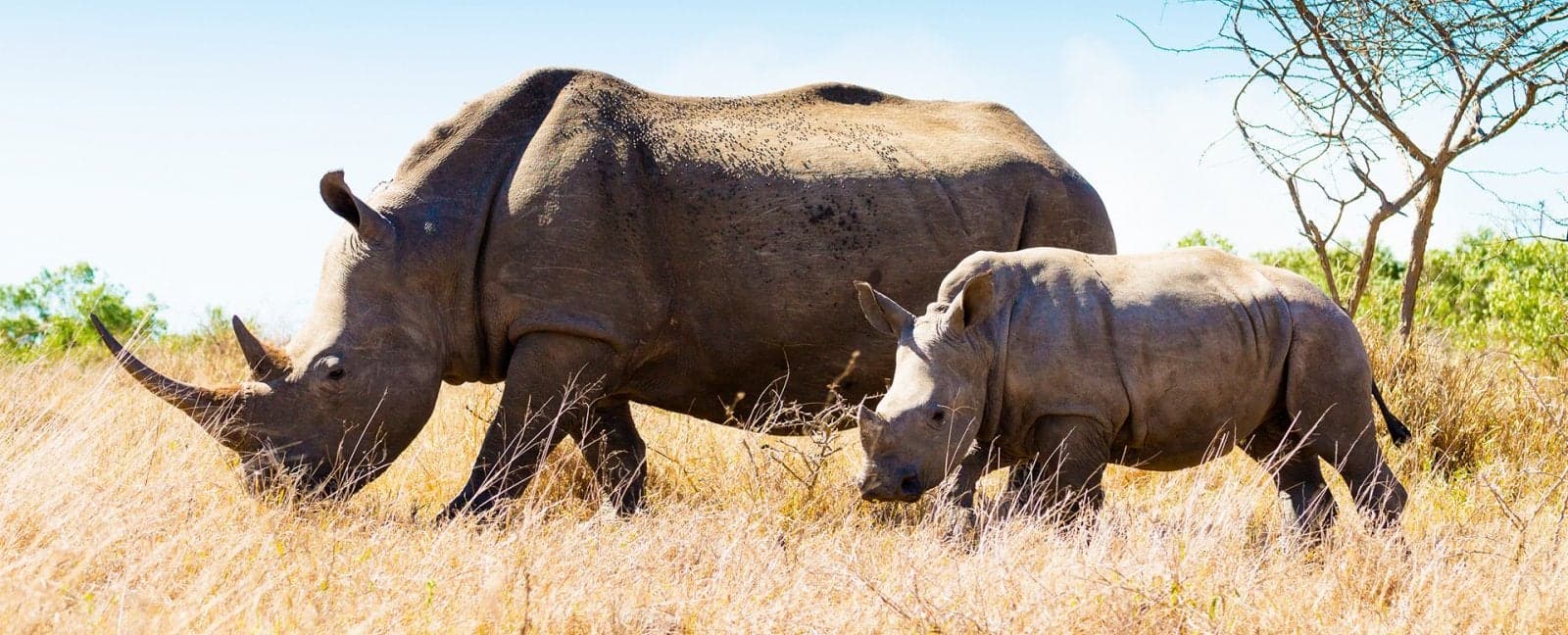 Parque Nacional Kruger