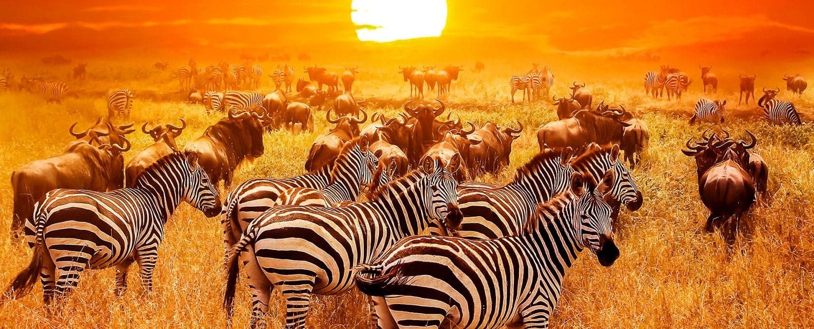 Johannesburgo - Mpumalanga - Parque Nacional Kruger